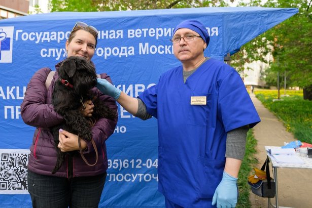 На выгульной площадке около корпуса 1212 в Зеленограде пройдет вакцинация животных от бешенства