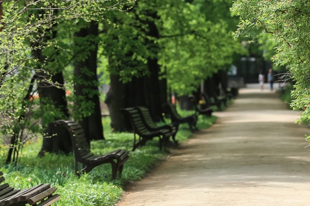 В парках Москвы от клещей обработали почти 1,5 тыс. гектаров