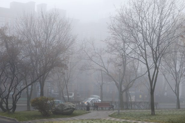 ГУ МЧС России по г. Москве призвало горожан быть осторожными в связи с сильным туманом