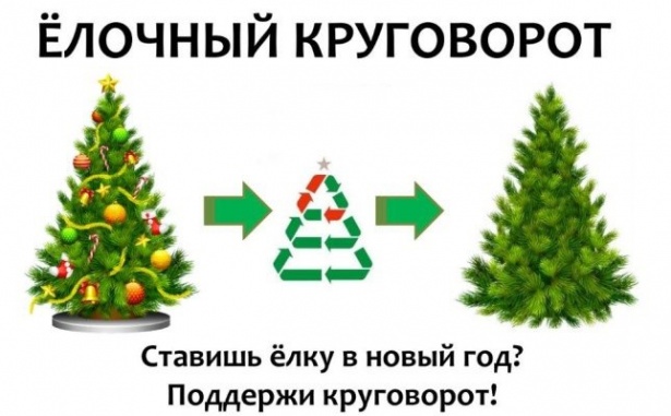 Силинцы могут утилизировать новогоднюю елку в «Доме лани»