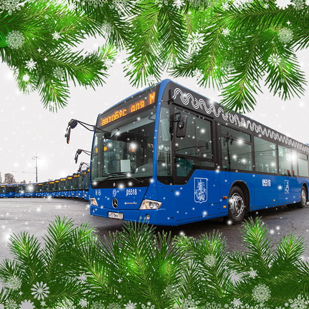 Автобусы между Зеленоградом и Москвой с 1 по 10 января будут ходить по расписанию воскресенья