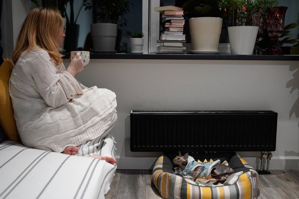 ������������ ������ ����������� ��������� � ������� �������