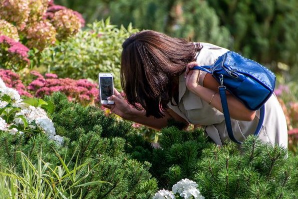 Район Силино примет участие в столичном конкурсе любительских цветников