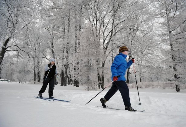 В пригородах Москвы обустроено более 200 км лыжных трасс