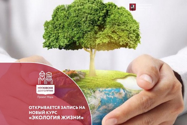 Зеленоградских участников «Московского долголетия» приглашают на экологические занятия