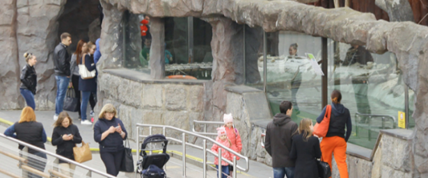 В Московском зоопарке гиды столичных музеев проведут бесплатные экскурсии