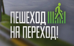 Профилактическое мероприятие «Пешеходный переход» в Зеленограде