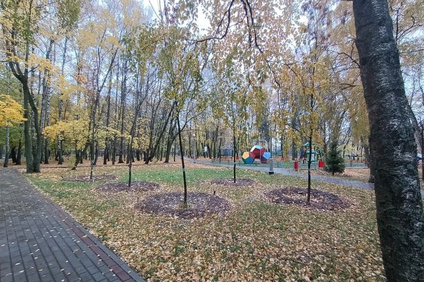 В 10-м микрорайоне Зеленограда высажено 59 деревьев