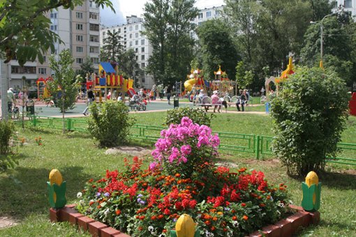 Конкурсная комиссия «Зеленоградского дворика» начала свою работу