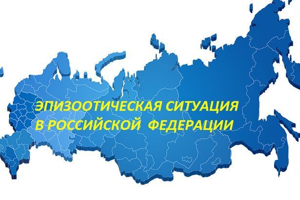 Информация об эпизоотической ситуации в Российской Федерации по состоянию на 18 декабря 2022 г.