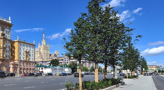 Собянин: Основные работы по программе «Моя улица» завершены
