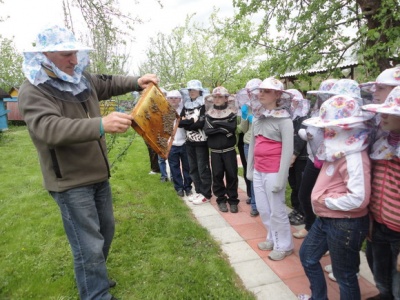 Пчёлкины именины в Зеленограде: приглашаем на экскурсию