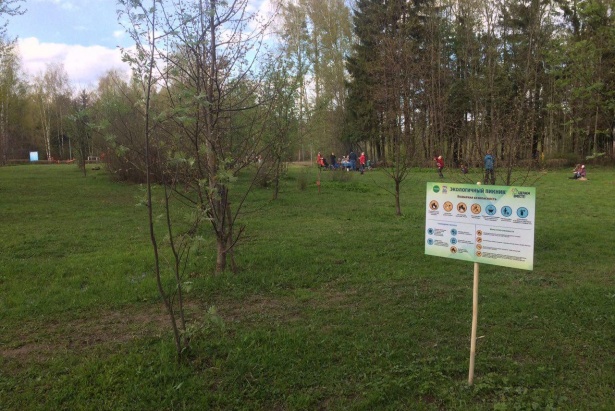Единороссы Зеленограда напомнили жителям правила поведения в зонах пикников