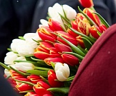 � ����������� � ������ �������� 8 �����: ������, ����� � ����� �������������