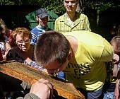 Посетители РЦдИ «Ремесла» Силино побывали в парке «Кузьминки-Люблино»