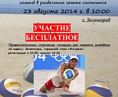 23 августа состоится фестиваль пляжного волейбола на городском пляже «Ангстрем»